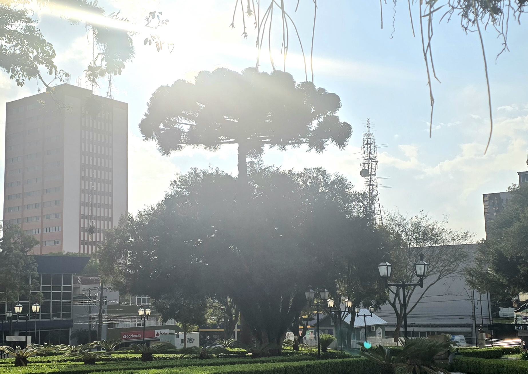 Praça 9 de Dezembro, área central de Guarapuava: gangorra climática na primavera da Serra Paranaense