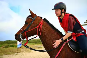 Atletas guarapuavanos intensificam preparação para etapa paranaense de Enduro Equestre