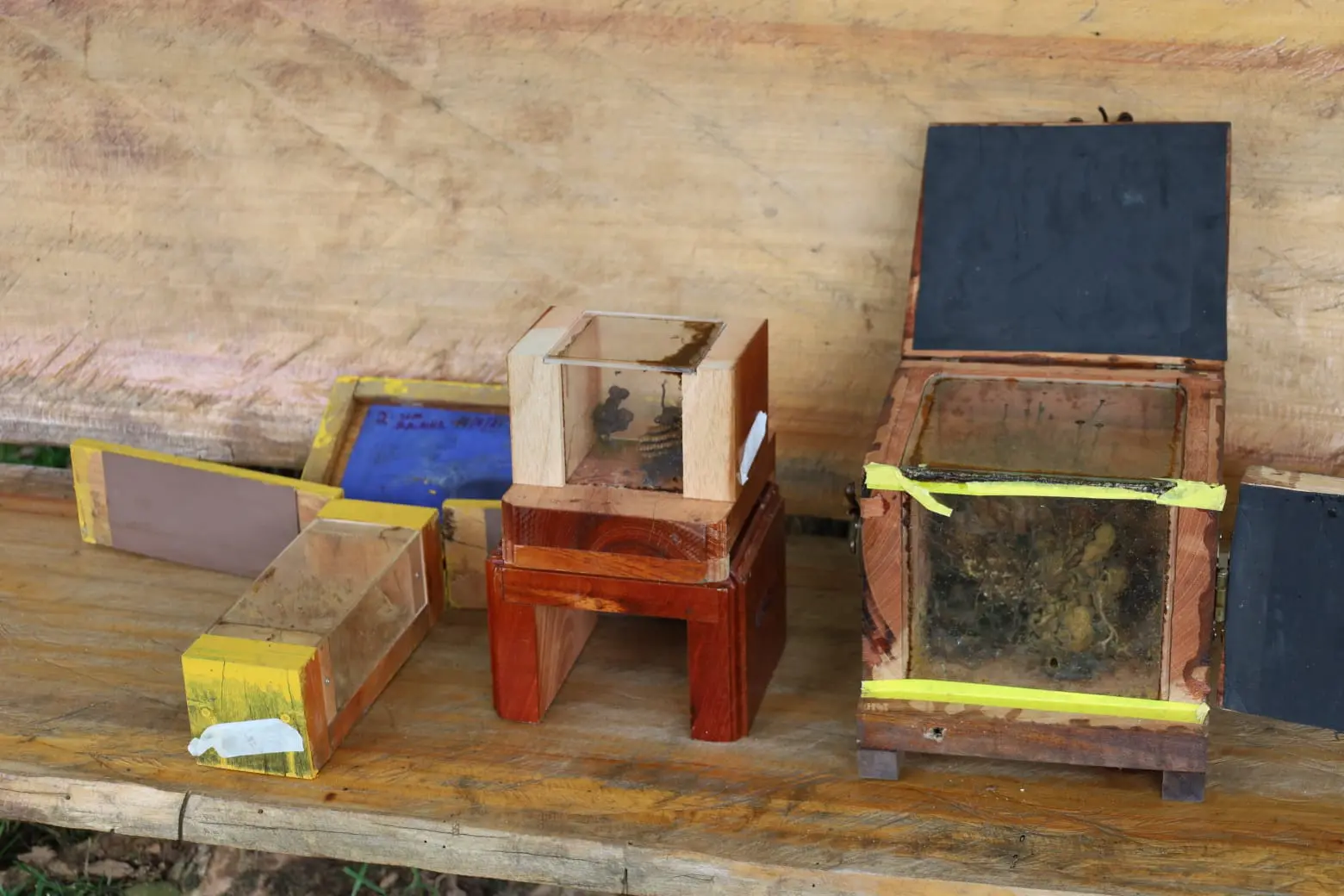 “Mateando com as Abelhas” será realizado no domingo (19) na Praça Ucrânia