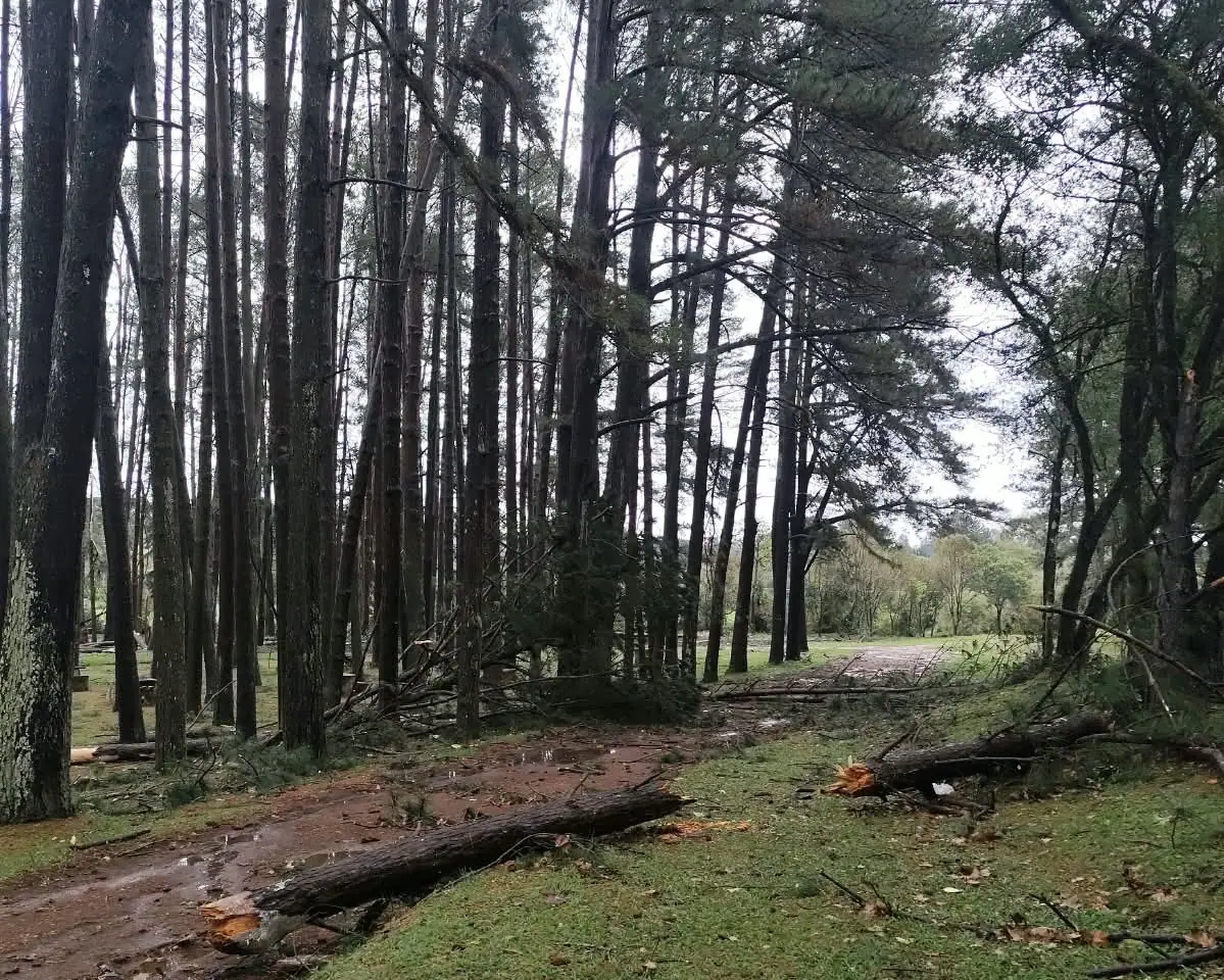 Temporal: Parque do Jordão é uma das áreas mais afetadas em Guarapuava