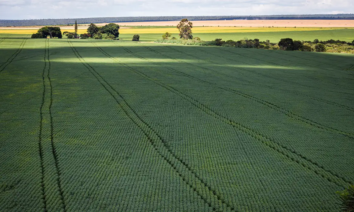 Senado aprova plano para fabricação de fertilizantes no Brasil