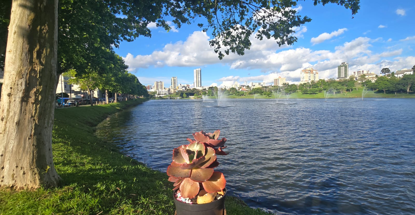 Guarapuava tem domingo de sol, temperaturas amenas e sem previsão de chuva