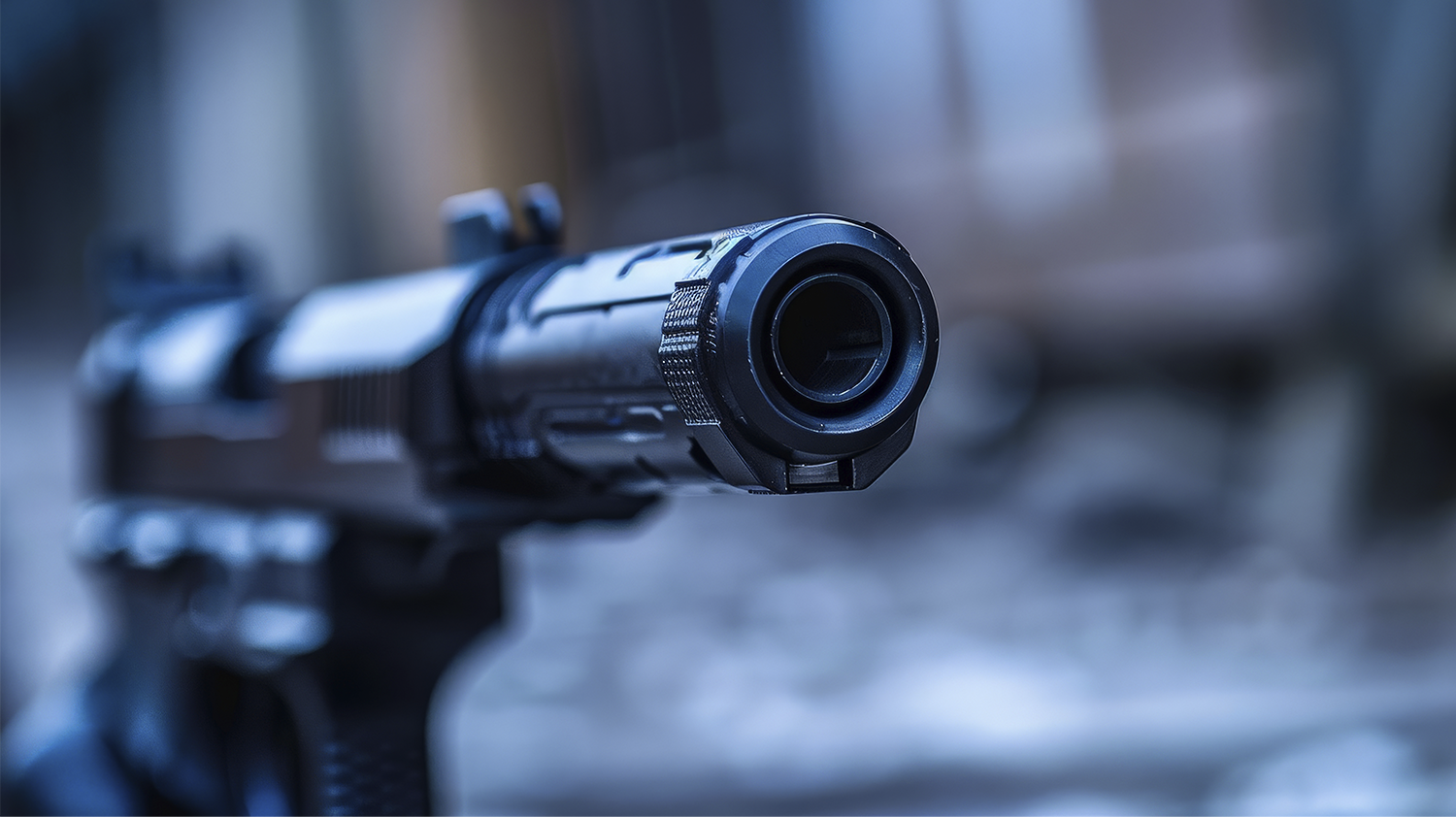 Em 10 Dias, PM apreende 14 armas na região de Guarapuava