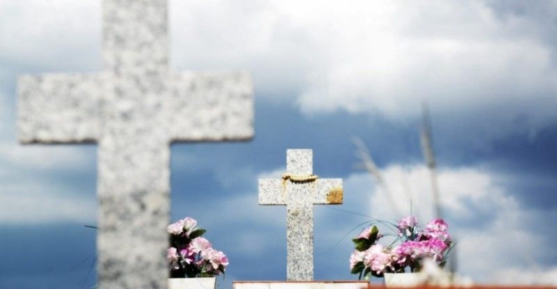 Variação no preço de flores pode chegar a 112% em Guarapuava
