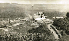 Historiador Luiz Felipe Lima estreia no Paraná Central escrevendo sobre a Lutcher