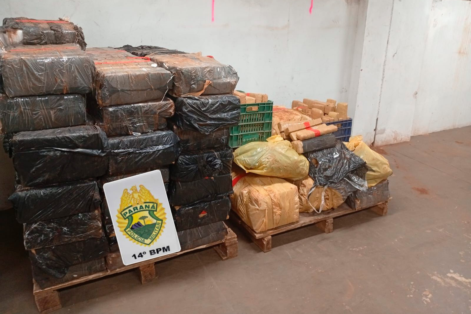 Carga com mais de 880 quilos de maconha estava escondida em mata