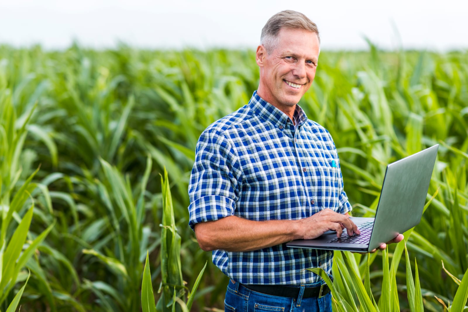 Lei amplia acesso à internet banda larga e à telefonia móvel na área rural