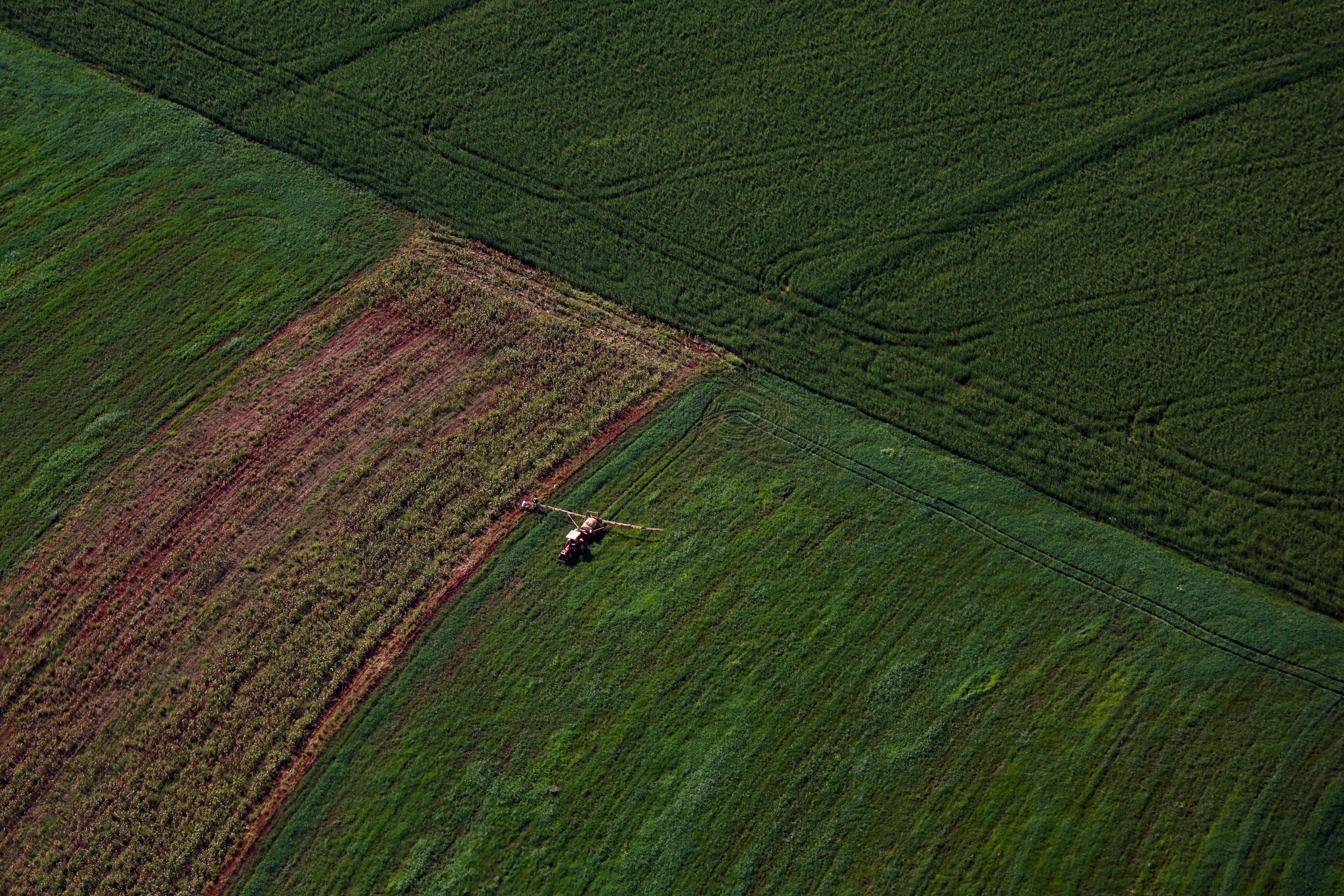  Paraná expande produção agropecuária entre 2018 e 2025