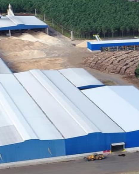 Tarifas dos EUA pressionam setor madeireiro em Guarapuava e desafiam exportadores
