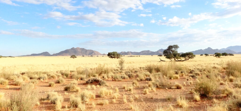 Nova atualização do Monitor de Secas aponta para continuidade da estiagem no Paraná
