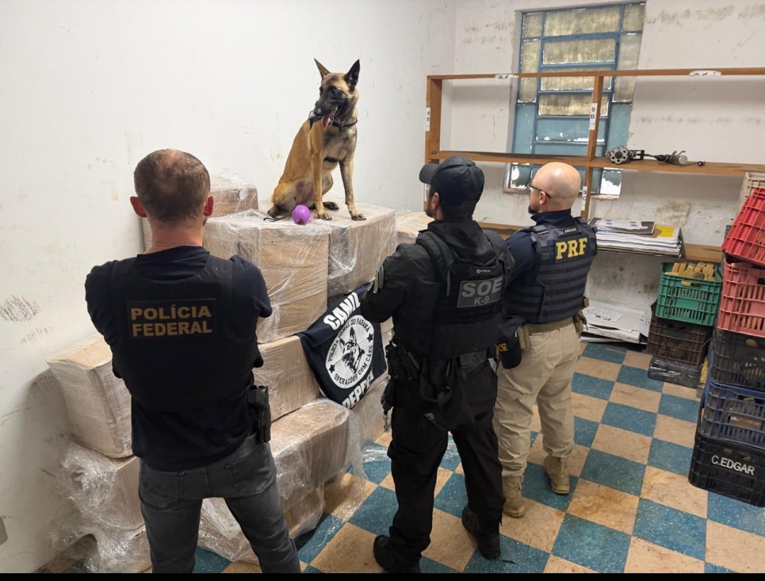 Caminhão com quase uma tonelada de maconha é interceptado em Guarapuava; veja o vídeo