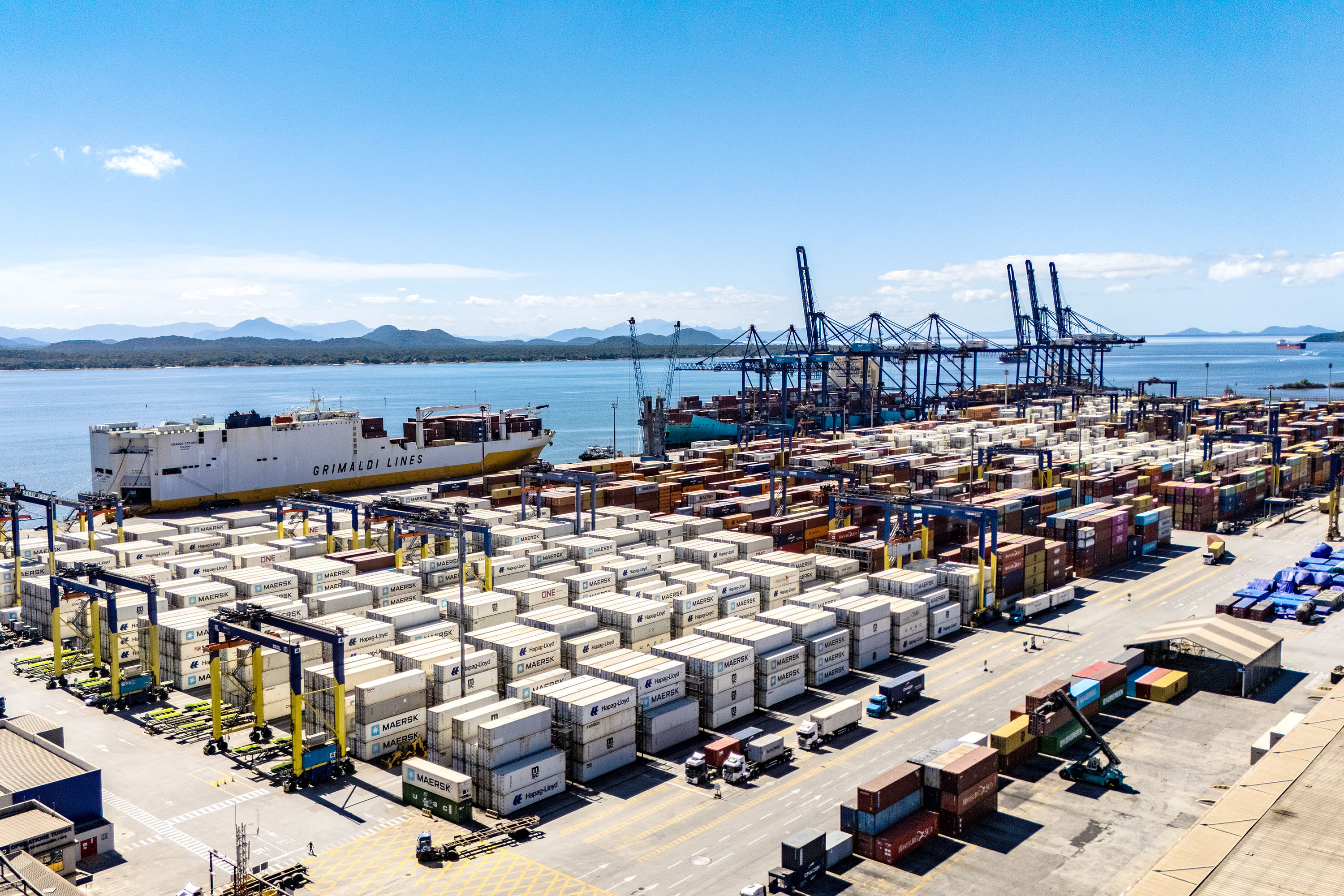 Porto de Paranaguá responde por quase 50% das exportações brasileiras de frango