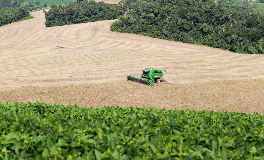 Valor Bruto de Produção da agropecuária do Paraná dobra em seis anos