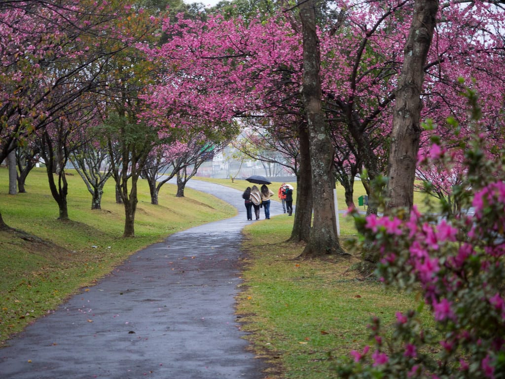 Assaltantes voltam a agir no Parque do Lago