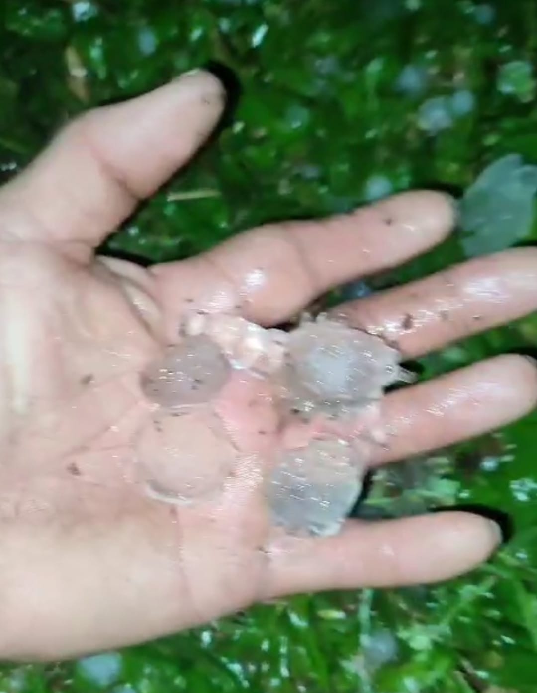 Granizo destelha ao menos 20 casas na localidade de Sundaria, em Entre Rios