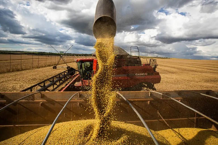 Paraná amplia produtividade por hectare e chega a 44,2 milhões de toneladas de grãos na safra 24/25