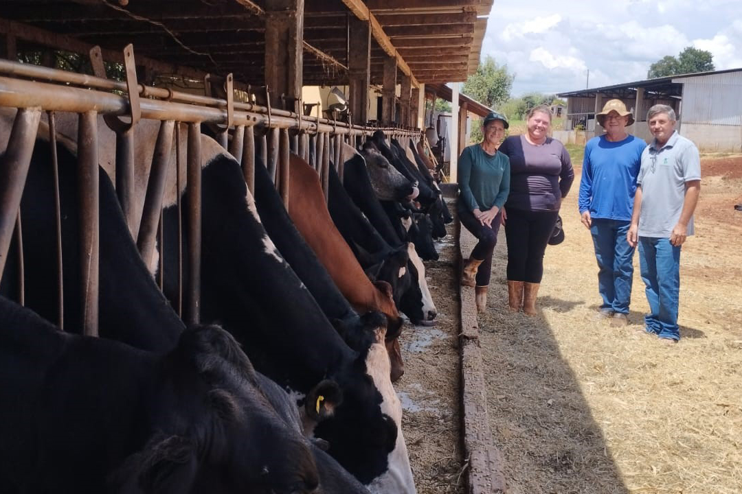 Programa de manejo do solo dobra produção de leite em pequenas propriedades do Paraná