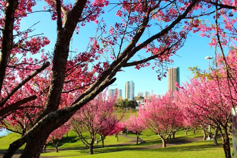 Frente fria anuncia início da primavera com chuva e queda brusca nas temperaturas em Guarapuava