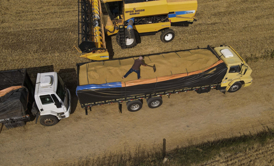 Paraná tem maior aumento do País na estimativa de produção de grãos em novembro