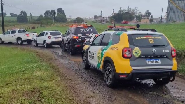 Mulher é presa em Guarapuava por tráfico de animais e documentos falsos 